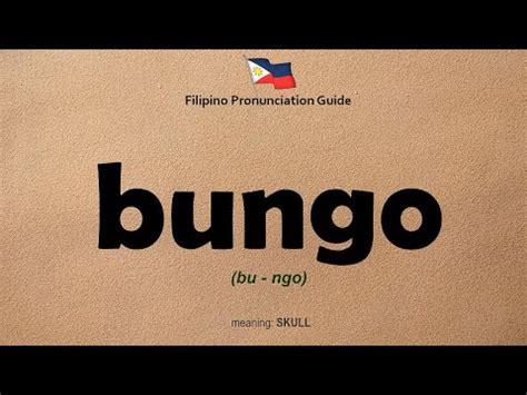 bungot in english|Meaning of bungot in English .